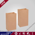 Wholesales China Suppliers Custom Eco-Friendly/Promotional/Recycled Printed Logo Paper Gift Bag